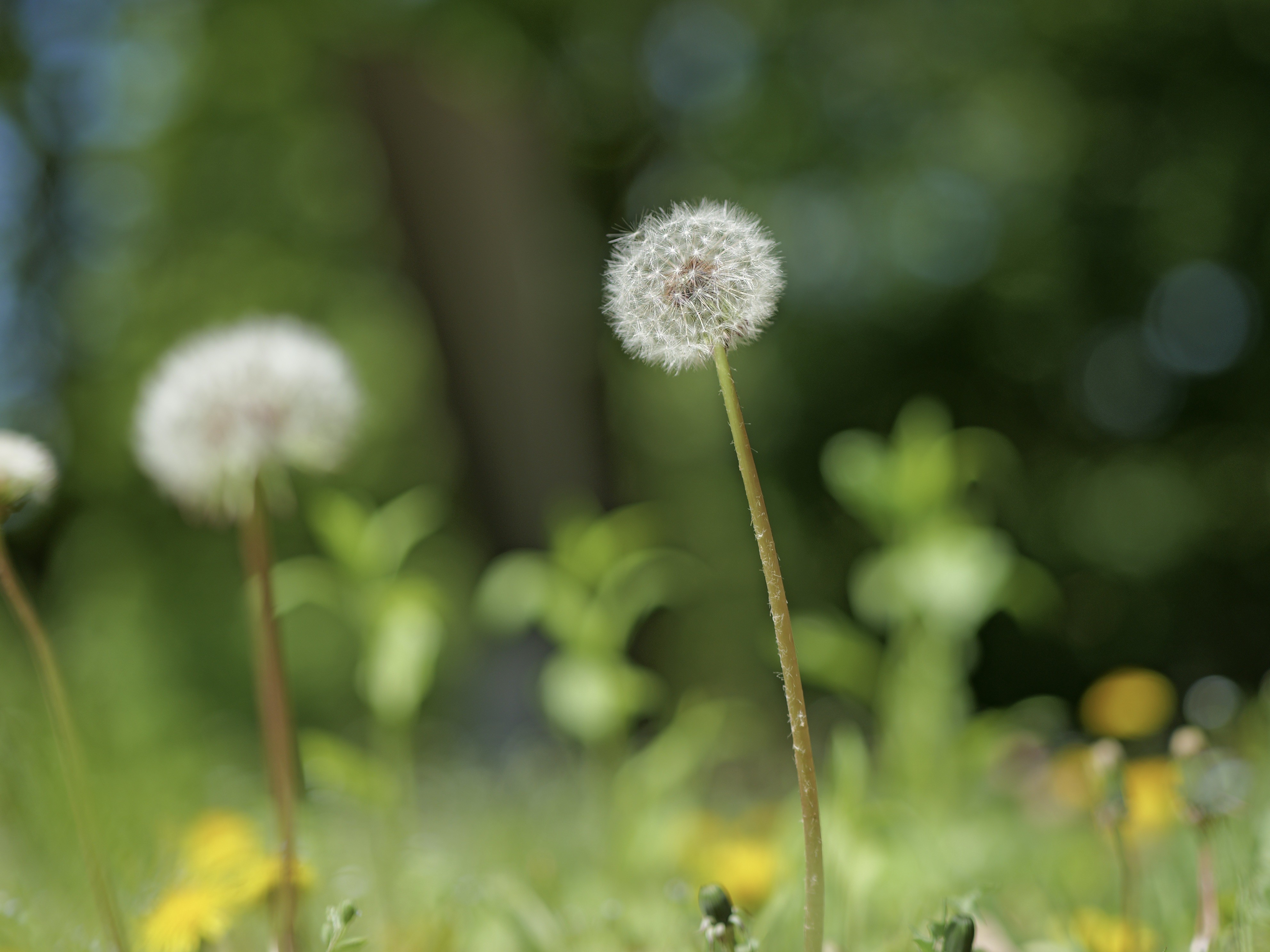 FROM HERE TO EVERYWHERE